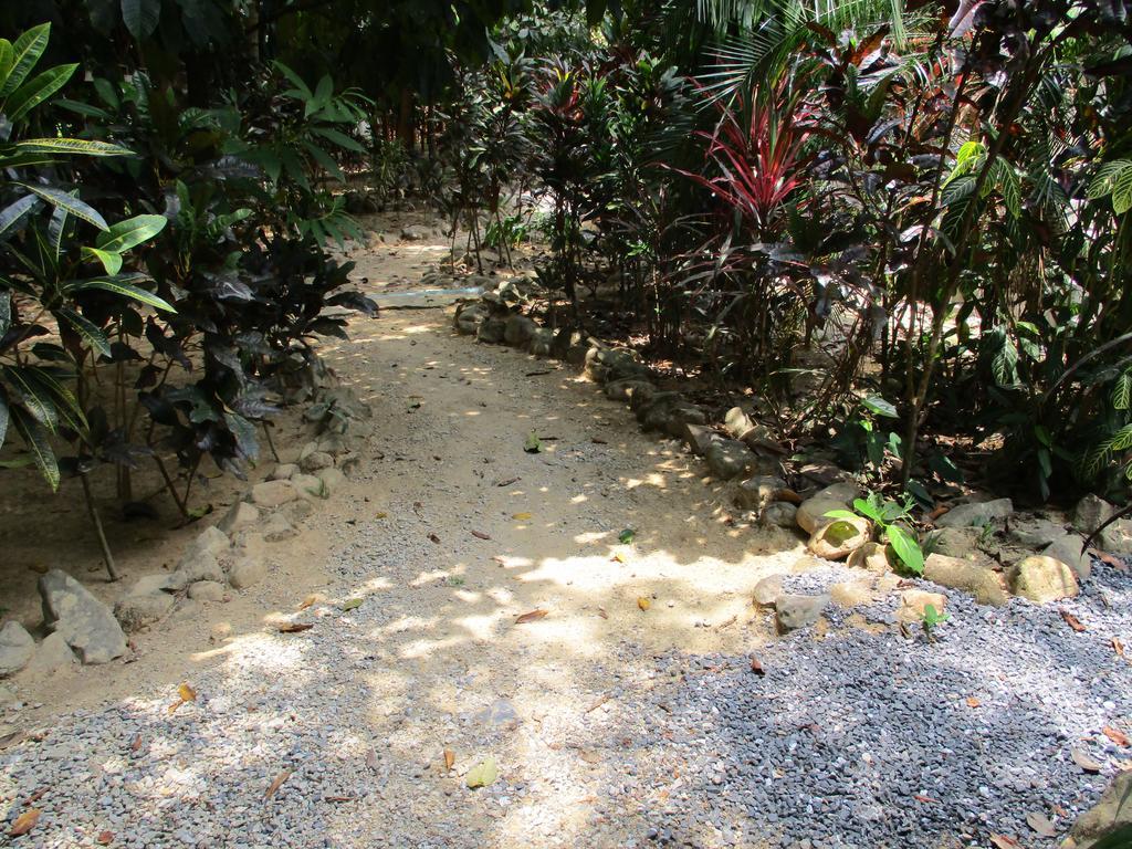 Khaosok Island Resort Khao Sok National Park Kültér fotó