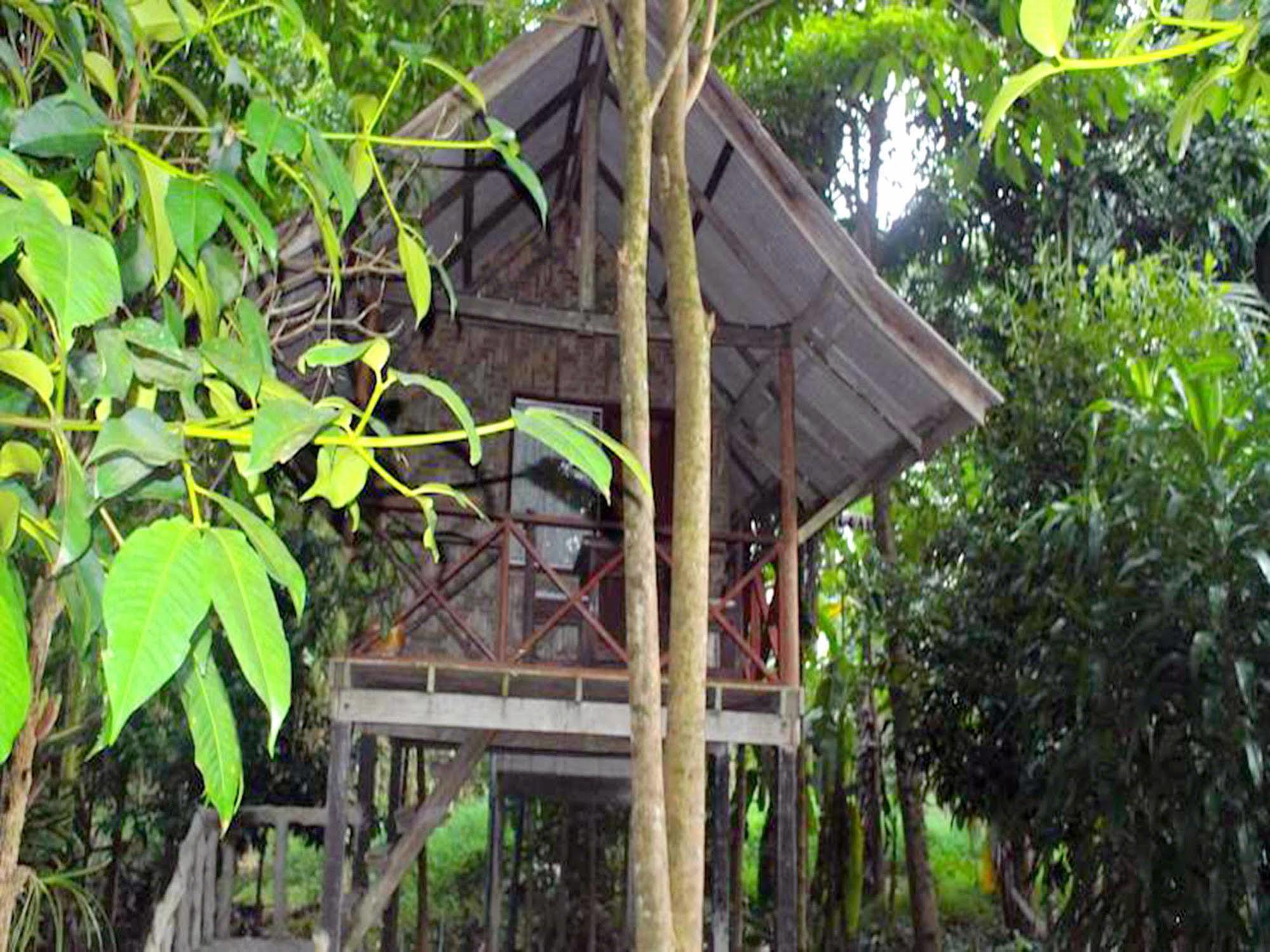 Khaosok Island Resort Khao Sok National Park Kültér fotó