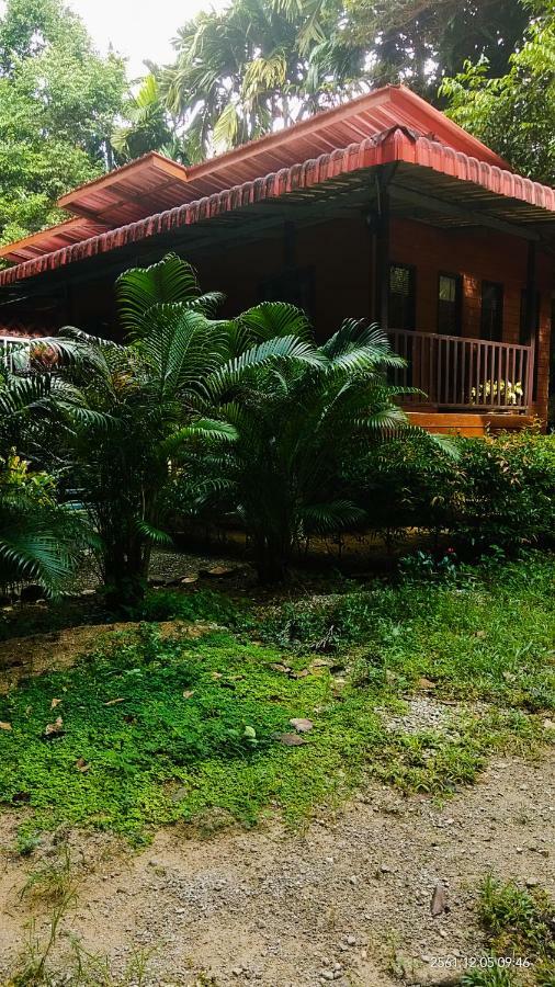 Khaosok Island Resort Khao Sok National Park Kültér fotó